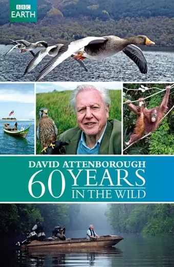 60 Năm Trong Hoang Dã (Attenborough: 60 Years In The Wild)