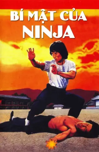 Bí Mật Của Ninja (Ninja Knight 2: Roaring Tiger)