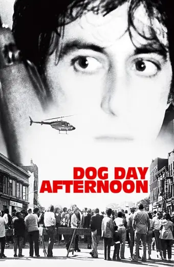 Buổi Chiều Xui Xẻo (Dog Day Afternoon)