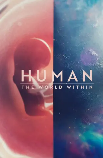 Con người: Thế giới bên trong cơ thể (Human: The World Within)