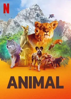 Động vật (Phần 1) (Animal (Season 1))