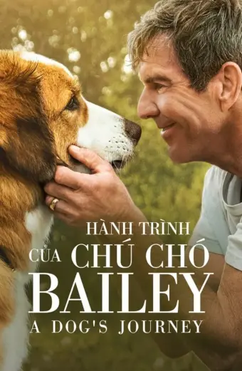 Hành Trình Của Chú Chó Bailey (A Dog's Journey)