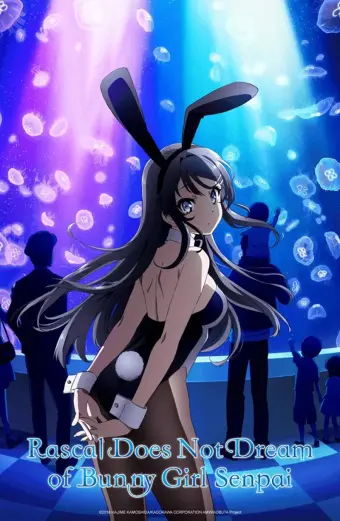 Hội chứng tuổi teen và cô gái có đôi tai thỏ (Rascal Does Not Dream of Bunny Girl Senpai)