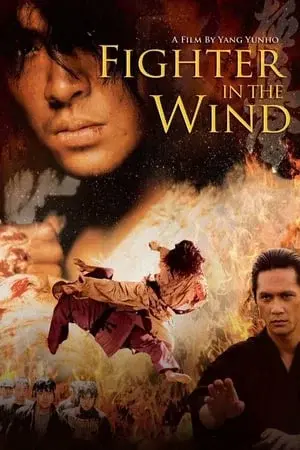 Xem phim Huyền thoại võ sĩ (Fighter in the Wind) - 2004 - Vietsub - Hàn Quốc