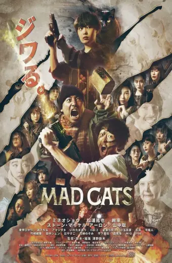 Xem phim Mèo Điên (Mad Cats) - 2023 - Vietsub - Nhật Bản