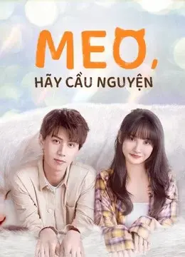 Meo, Hãy Cầu Nguyện (Make a wish)