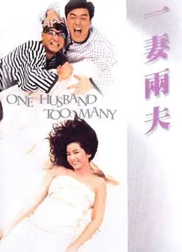 Một chồng là quá đủ (One Husband Too Many)