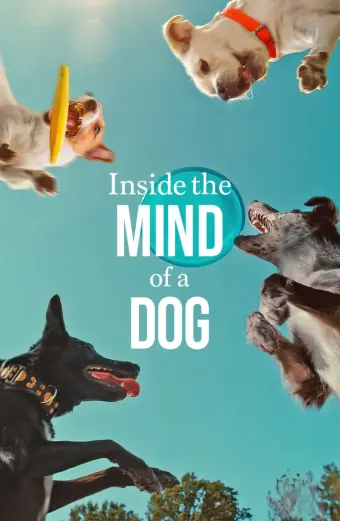 Những chú chó nghĩ gì (Inside the Mind of a Dog)