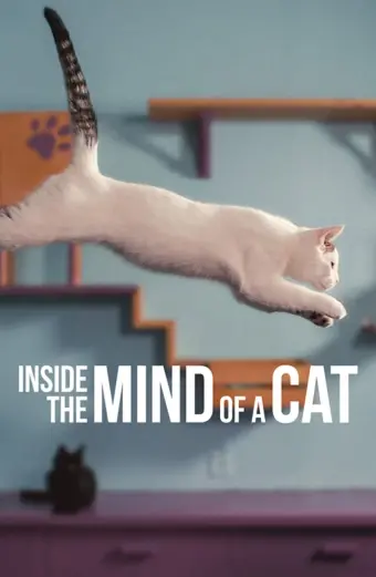 Những chú mèo nghĩ gì (Inside the Mind of a Cat)