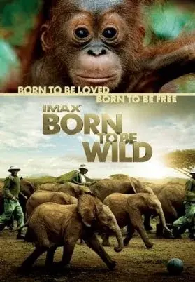 Những Loài Vật Mồ Côi (Born to Be Wild)