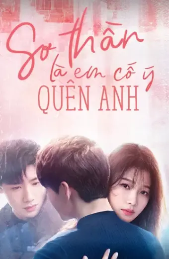 Sơ Thần, Là Em Cố Ý Quên Anh (Irreplaceable love )