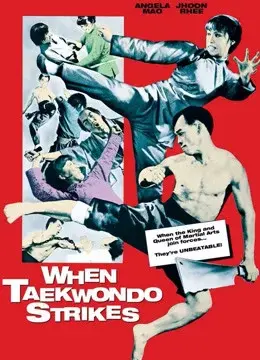 Taekwondo Chấn Cửu Châu (When Taekwondo Strikes)