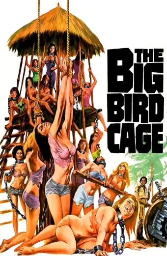 Xem phim The Big Bird Cage - 1972 - Vietsub - Âu Mỹ