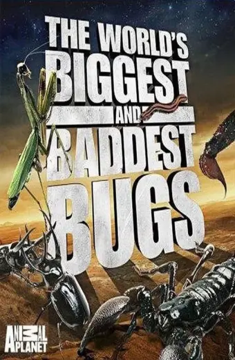 Thế Giới Côn Trùng Khổng Lồ và Nguy Hiểm (The World's Biggest and Baddest Bugs)