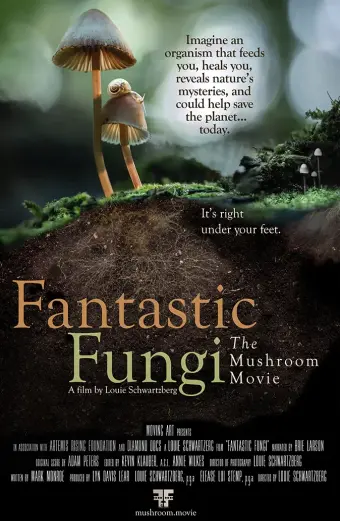 Xem phim Thế giới nấm diệu kỳ (Fantastic Fungi) - 2019 - Vietsub - Âu Mỹ