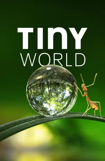 Thế Giới Siêu Nhỏ (Phần 1) (Tiny World (Season 1))