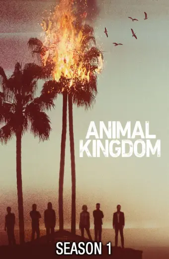 Vương quốc động vật (Phần 1) (Animal Kingdom (Season 1))