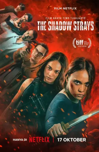 Sát Thủ Mật Danh 13 (The Shadow Strays)