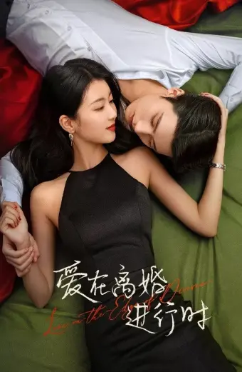 Yêu Khi Sắp Ly Hôn (Love in the Edge of Divorce)